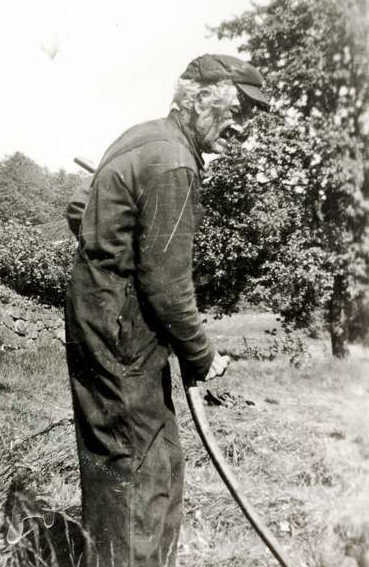 Damman_Karl_9107c.jpg